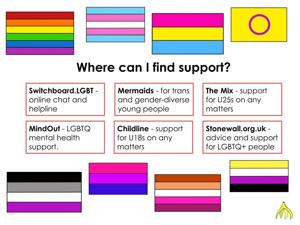 LGBTQ+ support