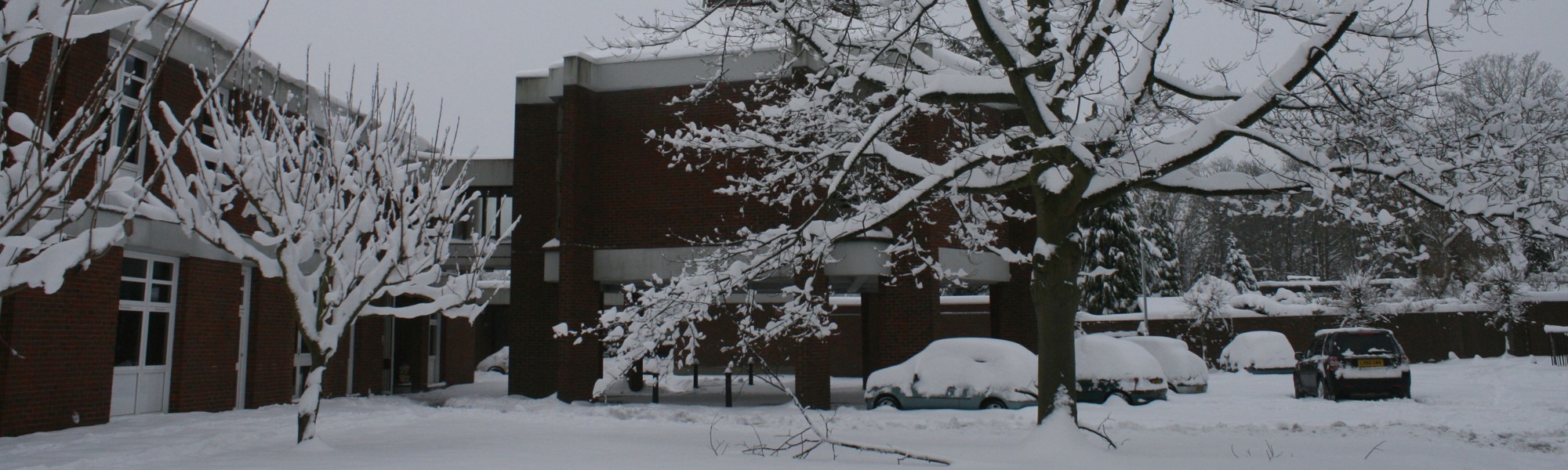 2010年12月3日降雪062