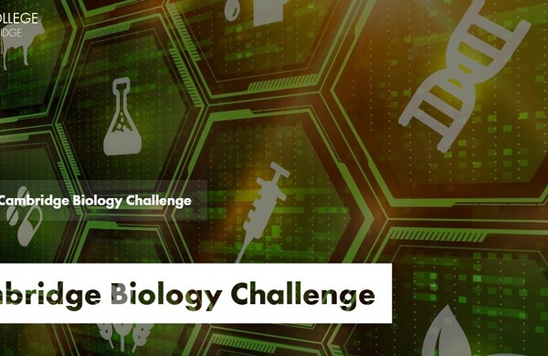 Blog Header Image