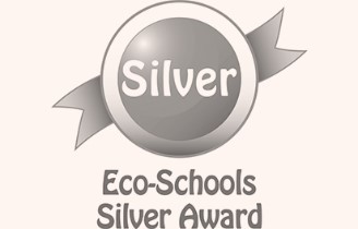 Eco soc silver award